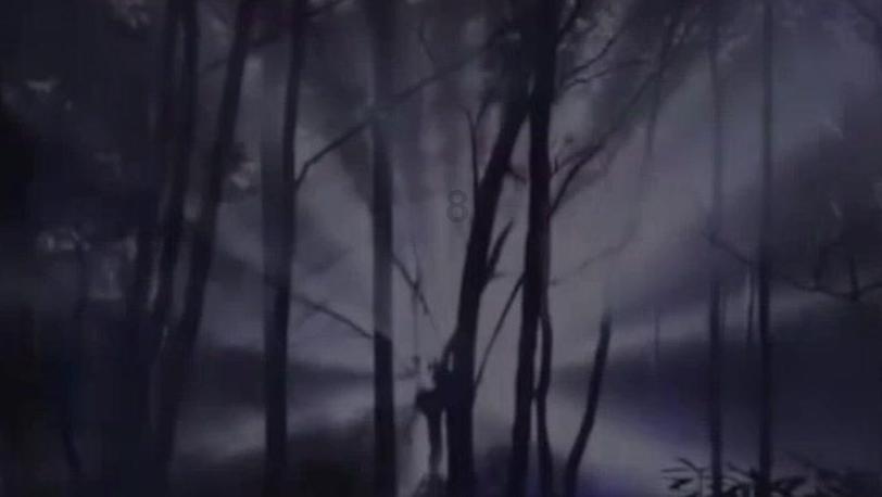荒野八人组