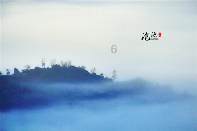 破碎的动物图形3