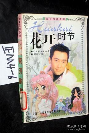 可爱的小考拉