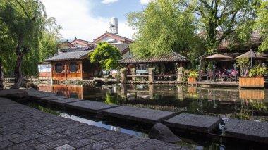 迷失在荒野